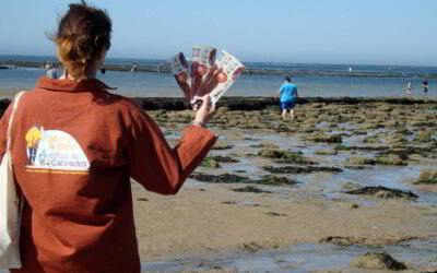 Pêche à pied de loisir en Manche Est – Mer du Nord