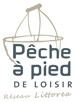 Logo-Littorea-240px