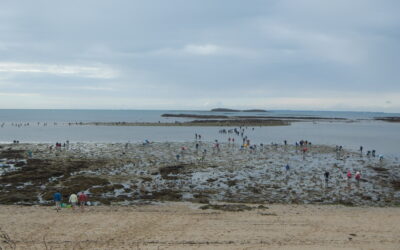 Pêche à pied dans le Morbihan