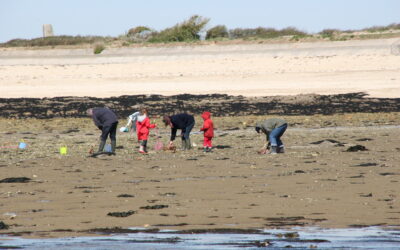 Pêche à pied dans le Finistère