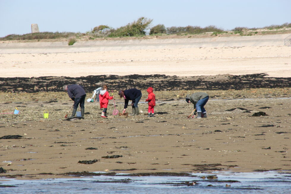Pêche à pied dans le Finistère Pour une pêche à pied de loisir durable en France Réseau LITTOREA Pêche à pied dans le Finistère Pour une pêche à pied de loisir durable en France Réseau LITTOREA