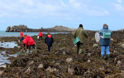 Pêche à pied dans le Finistère