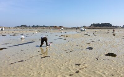 Pêche à Jersey