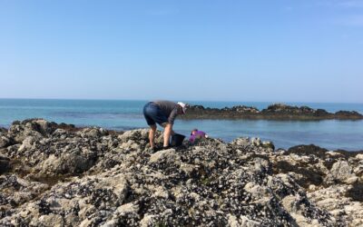 Pêche à pied dans le Morbihan