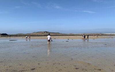 Pêche à pied en baie de Lannion