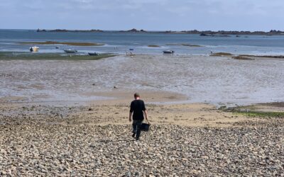 Pêche à pied dans les Côtes d’Armor