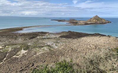 Pêche à pied en Bretagne