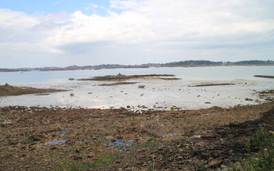 Pêche à pied dans les Côtes d’Armor