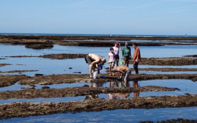 A vos agendas ! Colloque National Pêche à Pied de Loisir