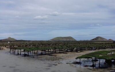 Intempéries dans les Côtes d’Armor et le Finistère