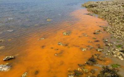 Eaux colorées sur le littoral breton