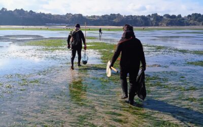 Pêche à pied en Bretagne