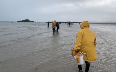 Pêche à pied dans les Côtes d’Armor