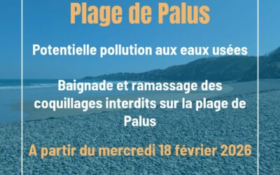 Pêche à pied dans les Côtes d&rsquo;Armor