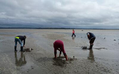 Pêche à pied dans les Côtes d’Armor